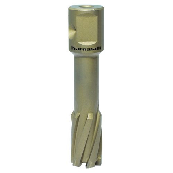 Mynd af Kjarnabor 15x55mm