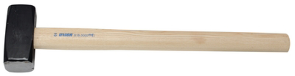 Mynd af Sleggja 10 kg.